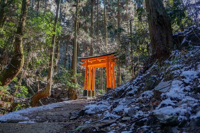 Kyoto: Fushimi Inari Hidden Hike (Private) - Key things to know before you go