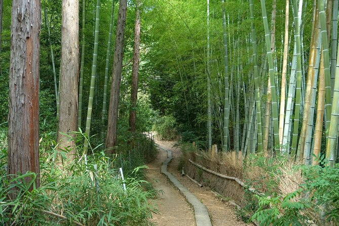 Kyoto: Fushimi Inari Hidden Hike (Private) - Coming back down with views of Fushimi Momoyama Castle