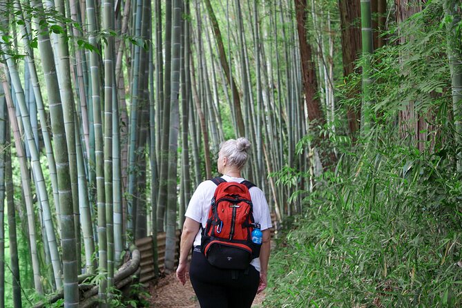 Kyoto: Fushimi Inari Hidden Hike (Private) - Commentary on culture and Shinto, without turning it into a lecture