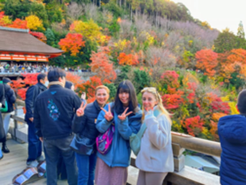 Kyoto: Fushimi Inari, Kinkakuji, Bamboo Grove 1 Day Bus Tour - Practical Tips That Save Your Feet and Your Photos