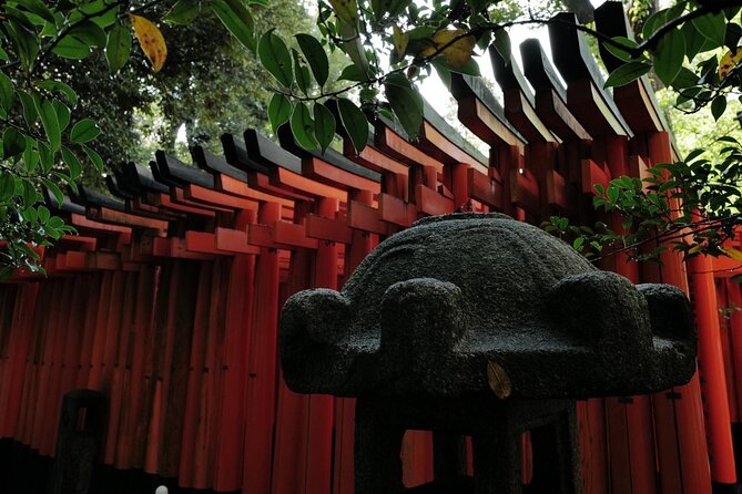 Kyoto Fushimi-Inari Night Walking Tour - Small-group size in Kyoto, why max 12 is more than a number