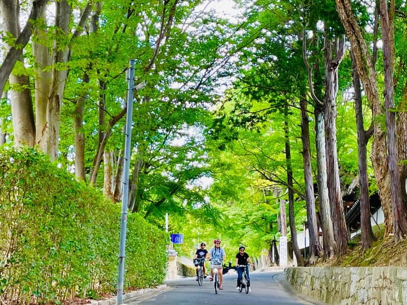 Kyoto: Fushimi Inari Shrine and Tofukuji Temple E-Bike Tour - Key takeaways before you book