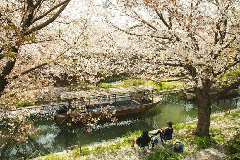 Kyoto: Fushimi Sake District Tour with Boat Ride - Gekkeikan Ōkura Sake Museum, tasting with the right context