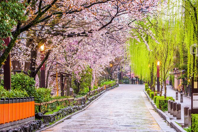 Kyoto Geisha District Walking Tour in Gion - Meeting Point at Gion Kōbu Kaburenjō, Then a Two-Hour Route You Can Handle