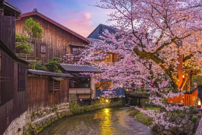 Kyoto Geisha Walking Tour: Gion District & Hidden Gems - Your guide experience: why Michael often gets the highest praise
