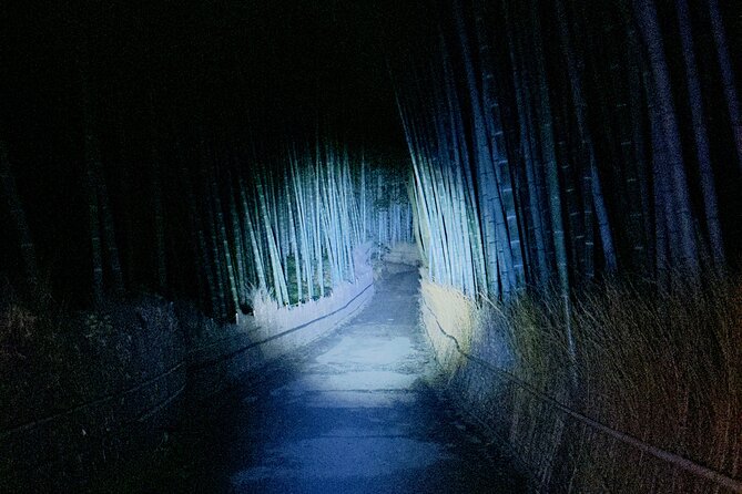Kyoto Ghost Tour: Dark Tales, Urban Legends, Bamboo Forest Night - The Arashiyama Bamboo Forest, minus the daytime noise