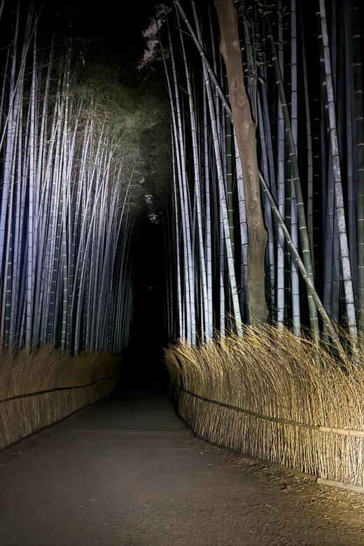Kyoto: Ghost Tour - Legends, Dark Tales, Bamboo Forest Night - Meeting at Saga-Arashiyama Station, Then Turning Off Your Phone