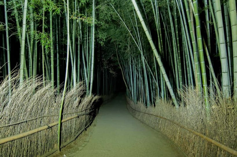 Kyoto: Ghost Tour - Legends, Dark Tales, Bamboo Forest Night - Nonomiya Shrine Stop: Where the Stories Get Grounded