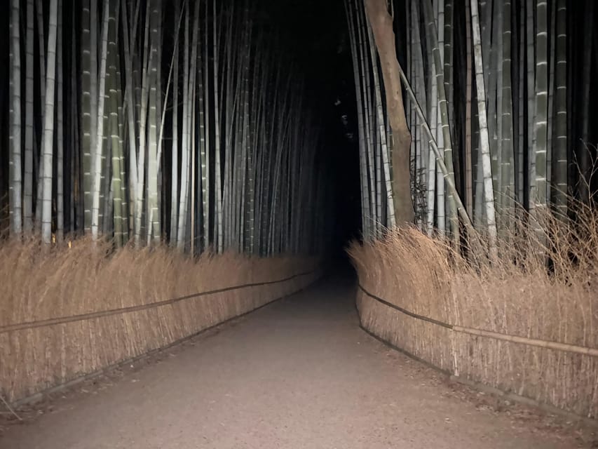 Kyoto: Ghost Tour - Legends, Dark Tales, Bamboo Forest Night - Price and Value: Is $50 Worth 150 Minutes of Spooky Kyoto
