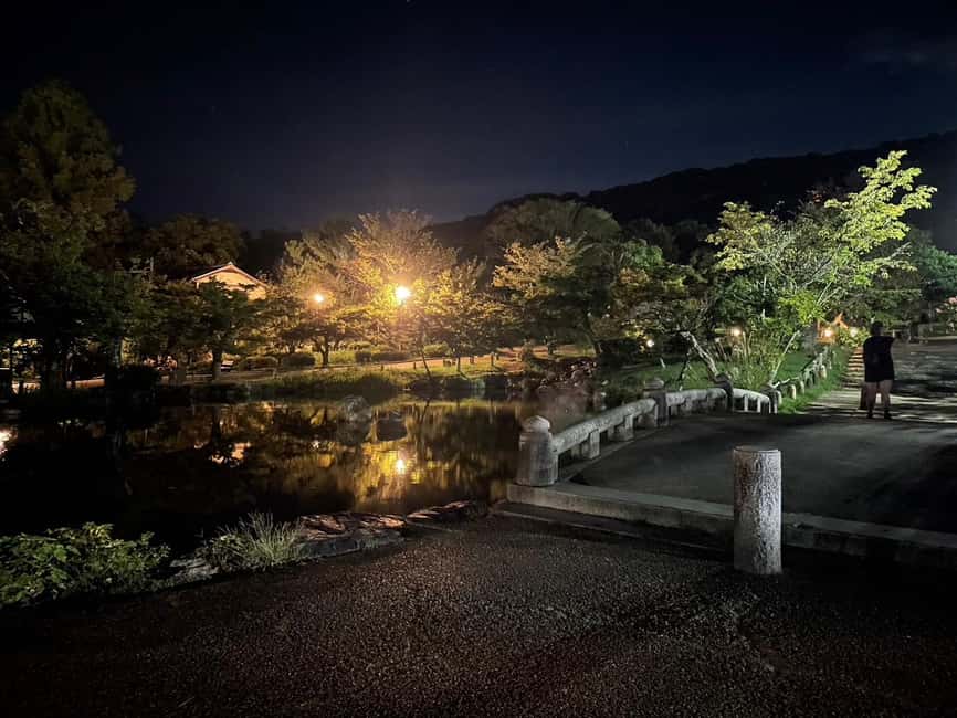 Kyoto: Gion & Geisha District Night Time Walking Tour - Ninenzaka: a photogenic slope where old Kyoto still looks old