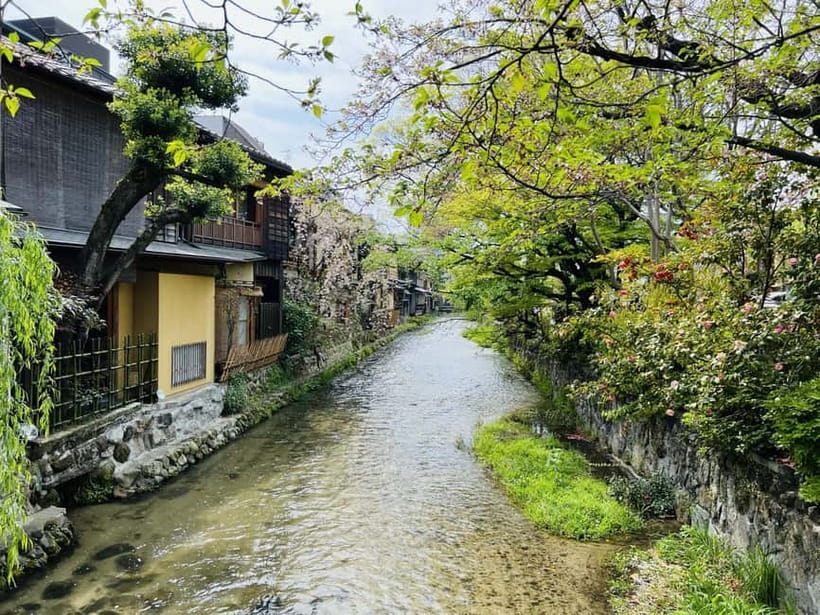 Kyoto: Gion Night Tour Stories of Geisha and Maiko - Shirakawa Canal Walk: Light, Water, and Alley Views