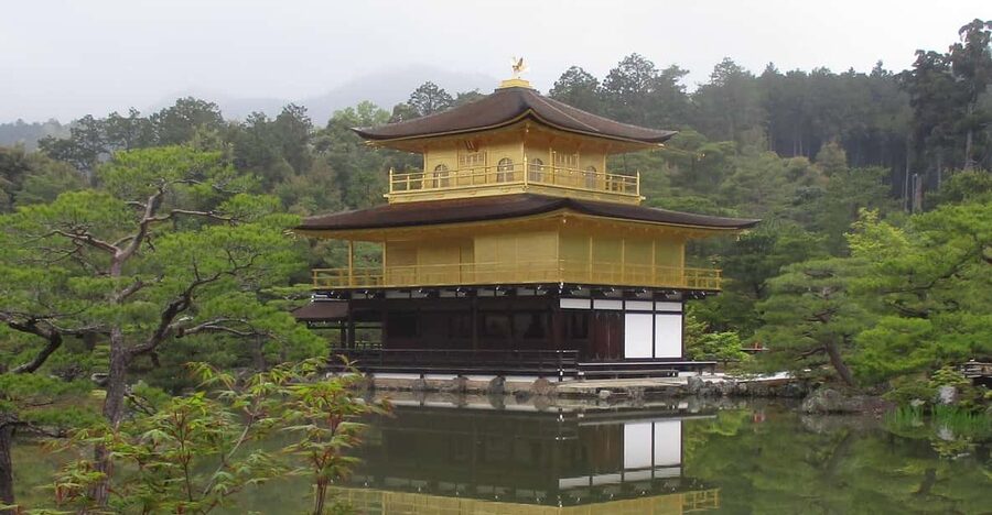 KYOTO: Golden Pagoda, Bamboo Forest, Arashiyama (Italian) - Sagano Bamboo Forest: How the 1-Hour Walk Works