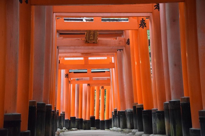 Kyoto Guided Walking Tour Highlight of Kiyomizu & Fushimi Inari - Pace, Walking Comfort, and How to Keep It Enjoyable