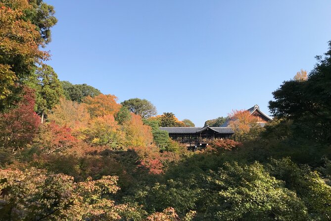Kyoto Guided Walking Tour: Secret Zen Garden and Fushimi Inari - Meeting point, timing, and the uphill reality (so you’re not surprised)