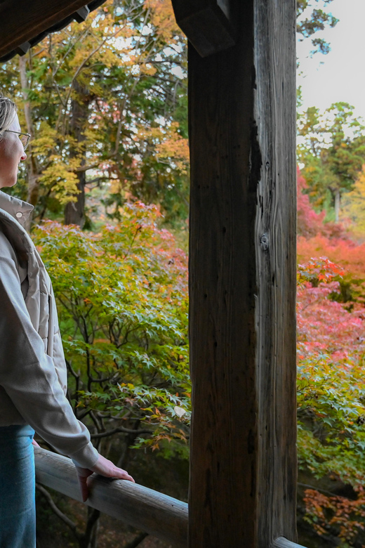 Kyoto: Half-day Guided Bike Tour with Fushimi Inari - Takase Canal and Kamo River: the route’s smart reset buttons