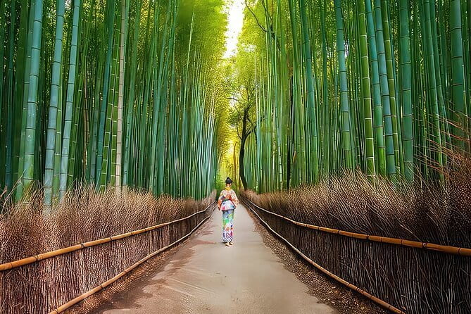 Kyoto Heritage Run - Venture through historical Kyoto landmarks - Price and logistics: is $97.55 worth your morning?