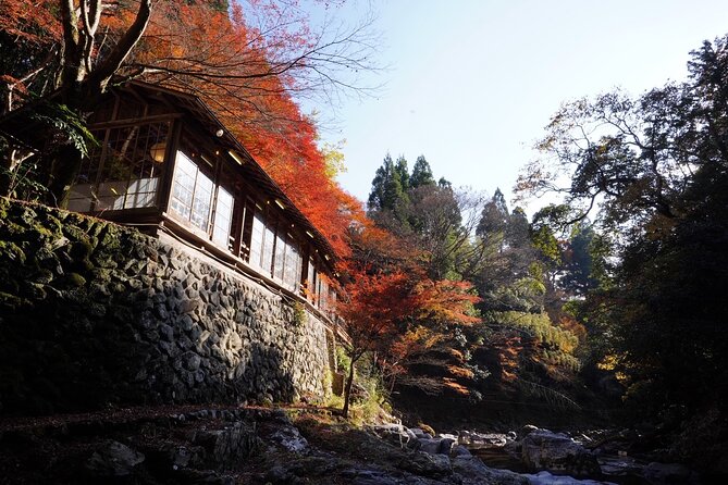 Kyoto Hidden Riverside Zen Mediation and Uji Matcha Experience - Weather and the Outdoor Zen Reality Check