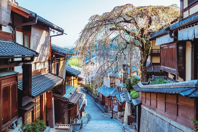 Kyoto Higashiyama Walking Private Tour - Key highlights you will feel right away