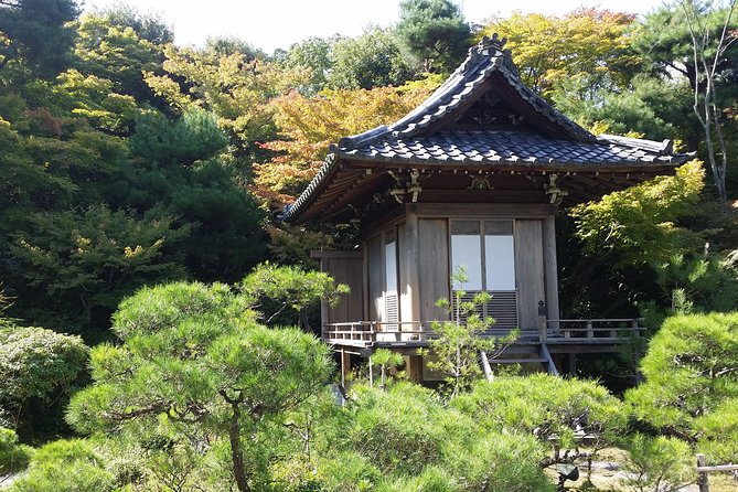 Kyoto Highlights: Arashiyama & Fushimi Inari by Private Car - Bamboo Forest Street: The Classic Shot, Plus the Real Walk