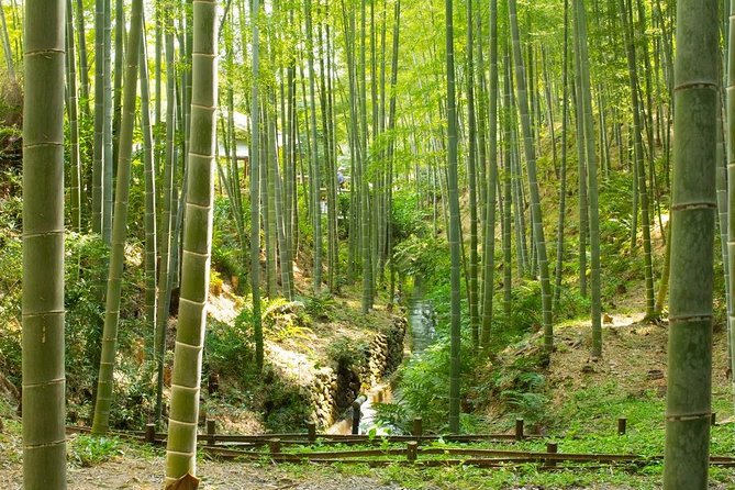 Kyoto Highlights: Arashiyama & Fushimi Inari by Private Car - Gion Drive-By, Plus a Quick Walk