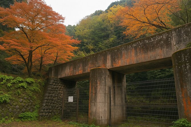 Kyoto Highlights Eastern Western Northern and Southern Routes - Kyoto Gyoen gardens: a calm break with imperial-era context