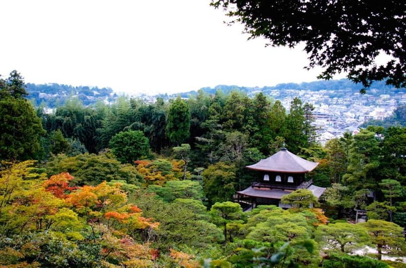 Kyoto: Highlights Guided Walking Tour - Why This Kyoto Loop Works So Well for First-Time Days