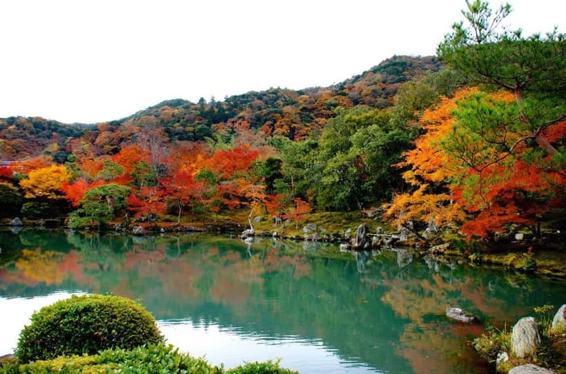 Kyoto: Highlights Guided Walking Tour - Yasaka Shrine, Sannenzaka, and Hanamikoji: Gion’s Old-Street Rhythm