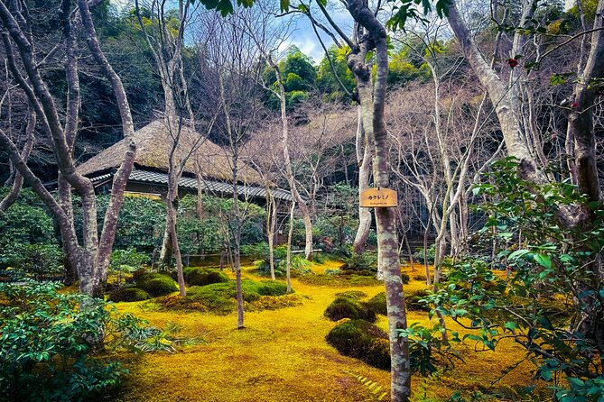 Kyoto Highlights & Hidden Gems in Nature (Private Van Eng-Guide) - Otagi Nenbutsu-ji and the Arashiyama-Takao Parkway for seasonal color