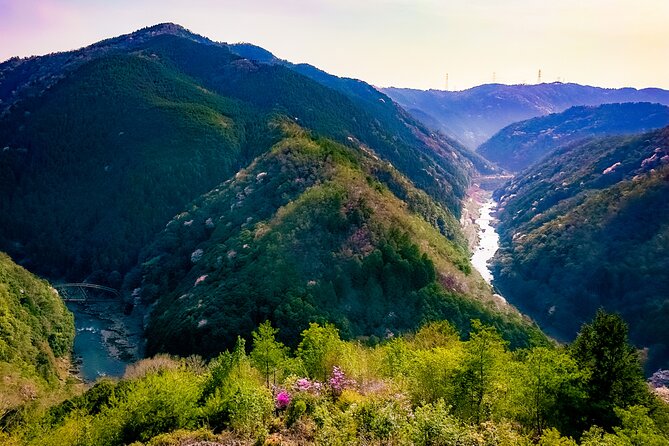 Kyoto Highlights & Hidden Gems in Nature (Private Van Eng-Guide) - The cedar-tree spirituality at Nakagawa-hachimangū and the secret Kitayama cedars
