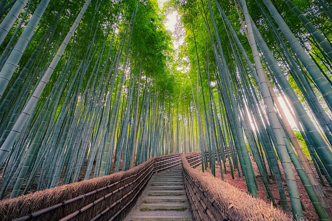 Kyoto Highlights & Hidden Gems in Nature (Private Van Eng-Guide) - Making it work for your pace, rain, and mobility needs
