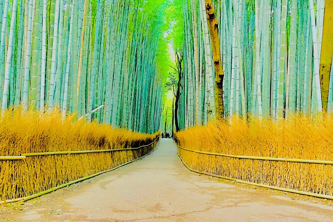 Kyoto Highlights Private Car Day Tour with English Speaking Guide - Hotel Pickup in Kyoto, Osaka, or Nara (and What to Expect)