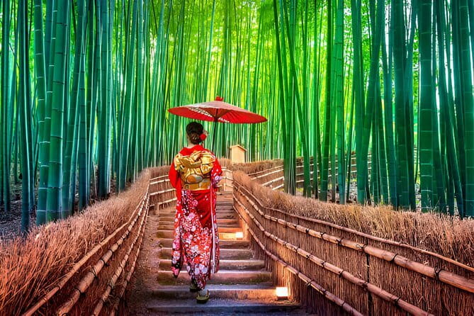 Kyoto Highlights Private Tour with Pick and Drop - Key highlights worth your attention
