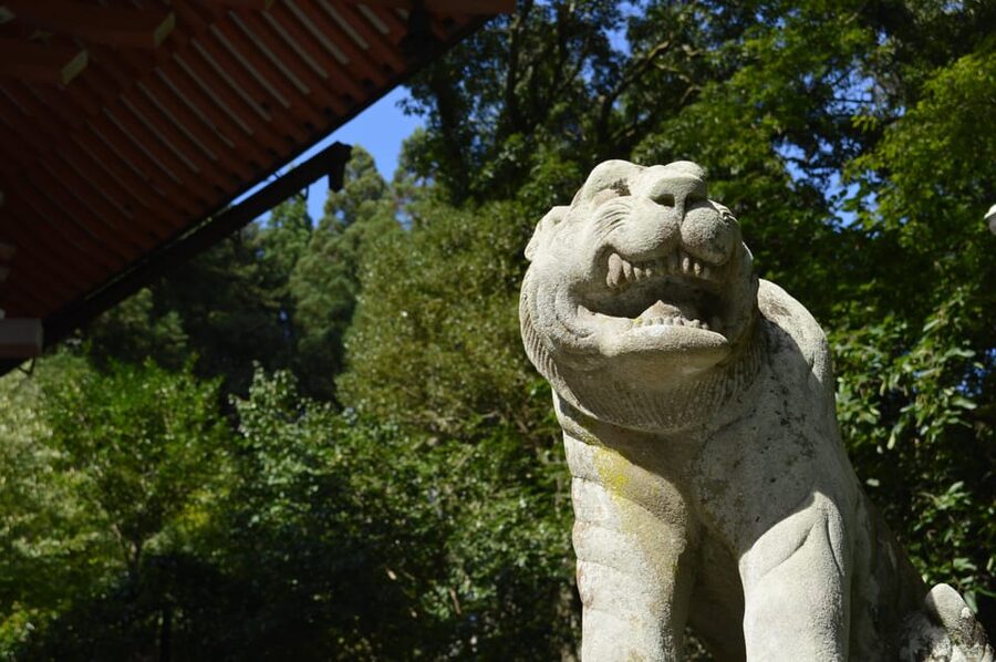 Kyoto: Hike and Hot Springs in Kurama - Kurama and Kibune: Two Sacred Stops, Two Different Moods