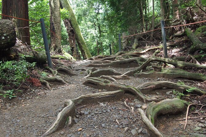 Kyoto Hiking Tour: The Nature and Legends of Kurama and Kibune - Mount Kurama: Reiki’s birthplace stop and the 21-day meditation legend