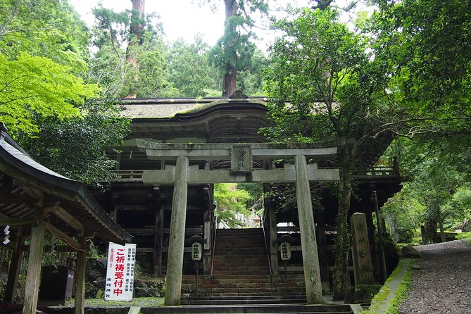 Kyoto Hiking Tour: The Nature and Legends of Kurama and Kibune - How hard is this Kyoto hiking tour? Stairs, uneven ground, and real pacing