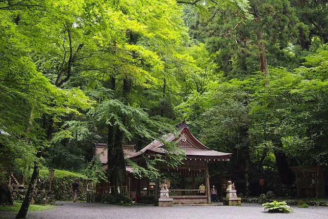 Kyoto Hiking Tour: The Nature and Legends of Kurama and Kibune - Door-to-door hotel transfers and a private guide: how the day runs