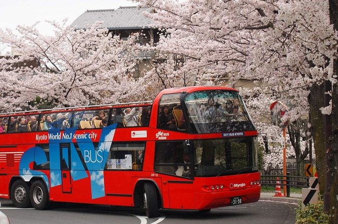 Kyoto Hop-On, Hop-Off Sightseeing Bus Tour - When to choose the bus, and when Kyoto deserves train time instead