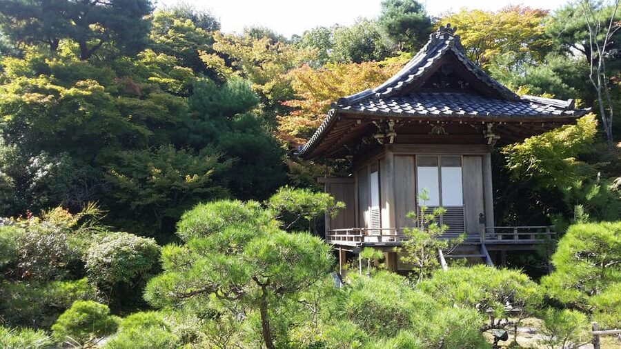 Kyoto: Immersive Arashiyama & Fushimi Inari by Private Car - Key highlights that make this day worth it