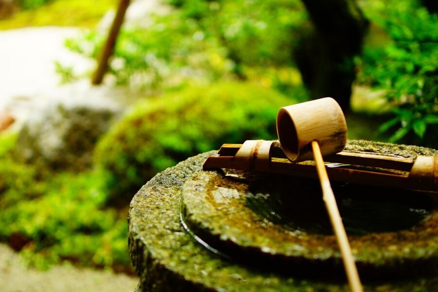 Kyoto: Immersive Arashiyama & Fushimi Inari by Private Car - Fushimi Inari-taisha: torii gates with enough walking time
