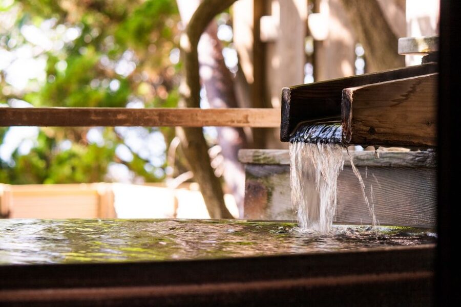 Kyoto: Immersive Arashiyama & Fushimi Inari by Private Car - Okochi Sanso: matcha, paths, and estate-style calm