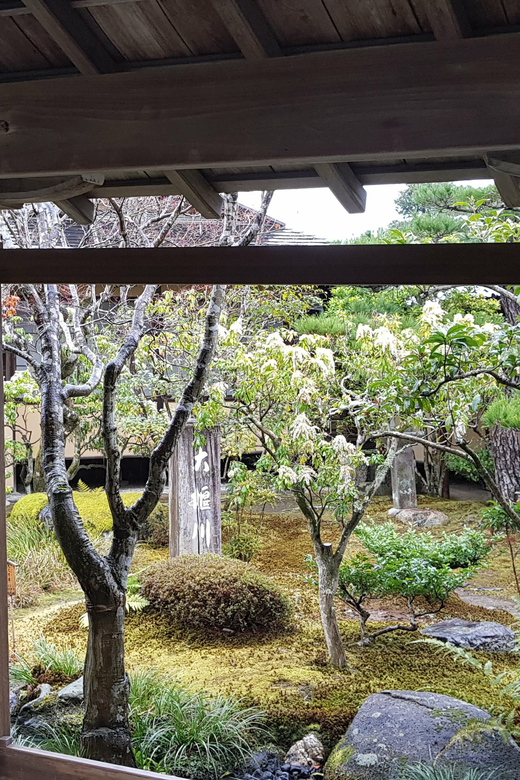 Kyoto: Immersive Arashiyama & Fushimi Inari by Private Car - Arashiyama walking: bamboo comes after you get context