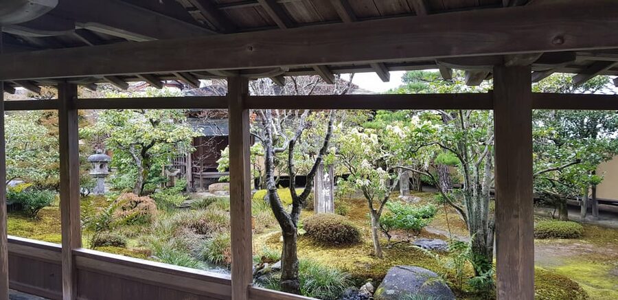 Kyoto: Immersive Arashiyama & Fushimi Inari by Private Car - Gion and the in-between streets: a quick taste, not a time sink