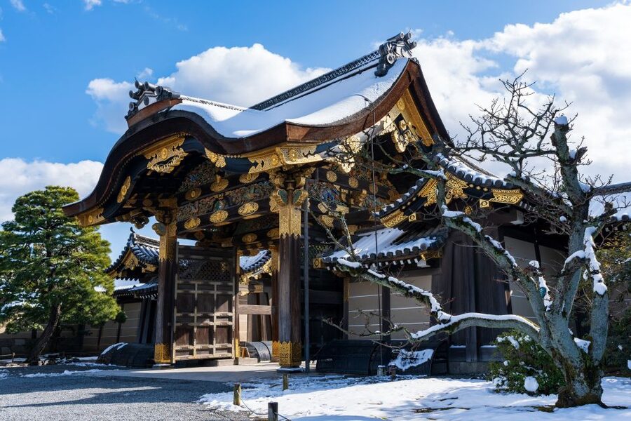Kyoto: Imperial Palace & Nijo Castle Guided Walking Tour - Who this tour is best for, and who should rethink
