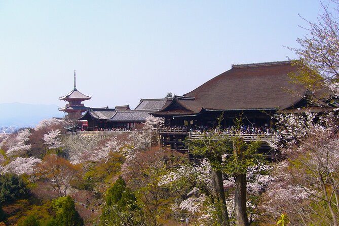 Kyoto in a Day by eBike: The Best Bits Tour (East Course) - Key highlights to know before you go
