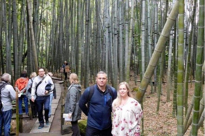 Kyoto Japanese Garden Lover's Private Tour with Government-Licensed Guide - What you are really buying in this Kyoto garden private tour