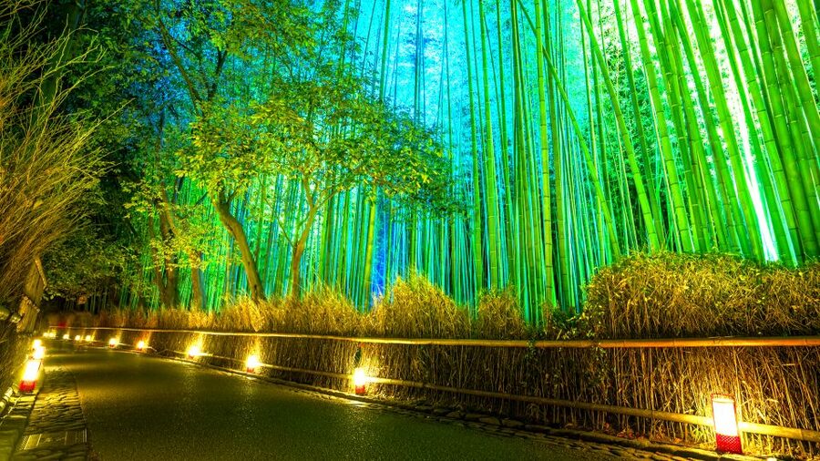 Kyoto: Japanese Gardens Private Customizable Tour - Key points before you go