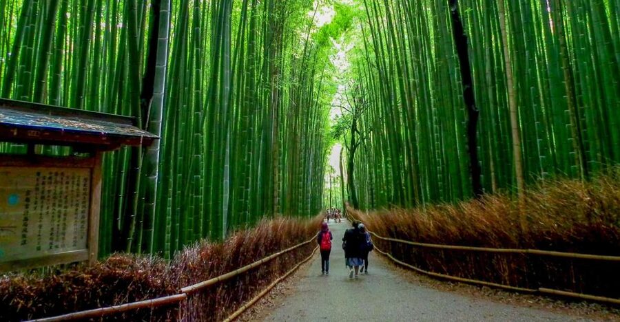 Kyoto: Japanese Gardens Private Customizable Tour - Private Kyoto Garden Day: What This Tour Actually Gives You