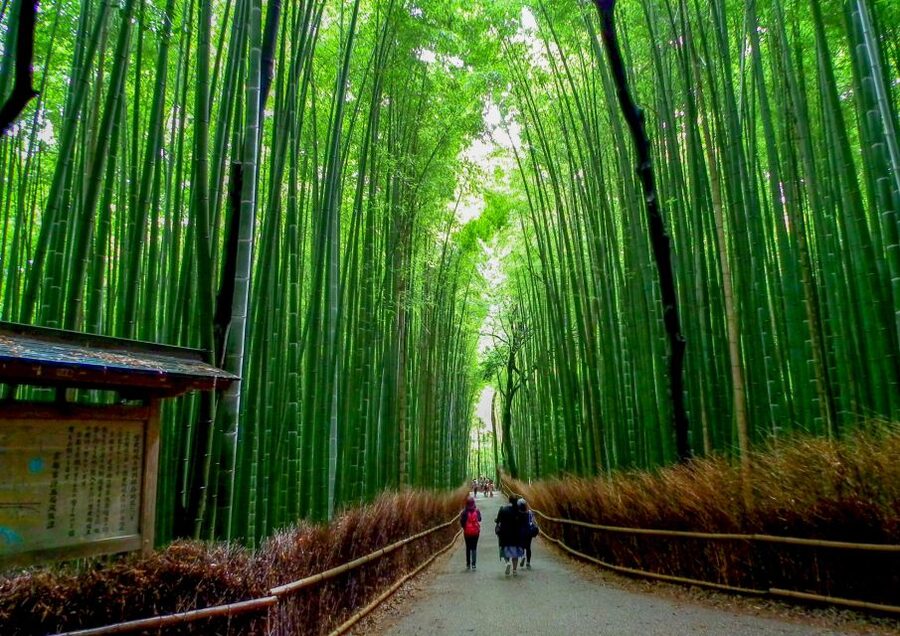 Kyoto: Japanese Gardens Private Customizable Tour - Picking Stops in 6 Hours, From Bamboo Forest to Imperial Villas