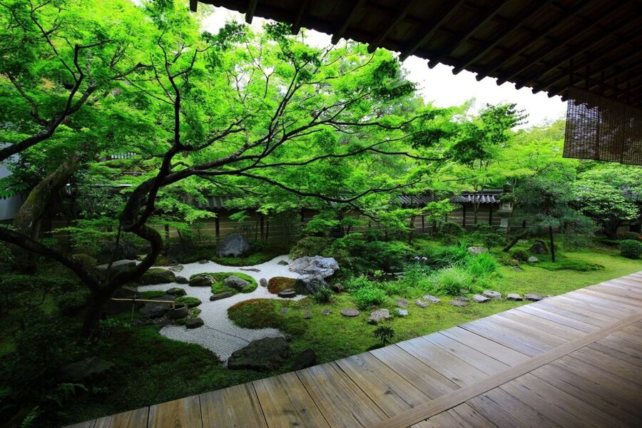 Kyoto: Japanese Gardens Private Customizable Tour - Arashiyama Bamboo Forest: A Quick Jolt of Atmosphere