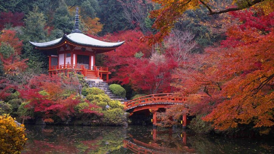 Kyoto: Japanese Gardens Private Customizable Tour - Kinkakuji and Ginkakuji: Two Ways to See the Same Kyoto Calm